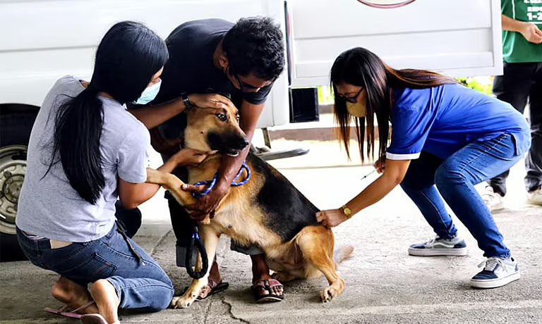 DOH warns public vs rabies threat

