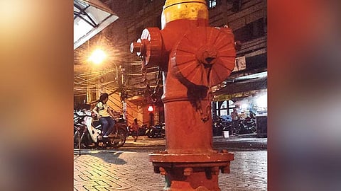 Fire hydrants to be repainted 