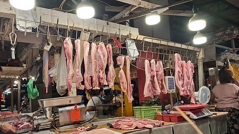 (Hulagway iya ni Charish Jane B. Gellor, HCDC Intern)