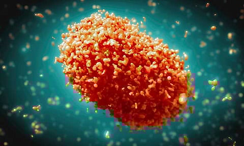 CHO tracks Mpox cases in Davao 