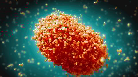 DOH-Davao confirms 8 Mpox cases in Region 11