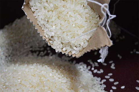 Rice grains