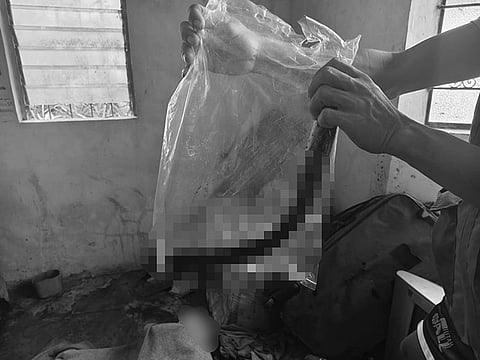 Husband kills wife, self in Samar; 5-day-old baby unharmed
