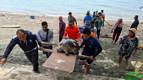 Luya nga bao naluwas sa coast guard sa Igacos