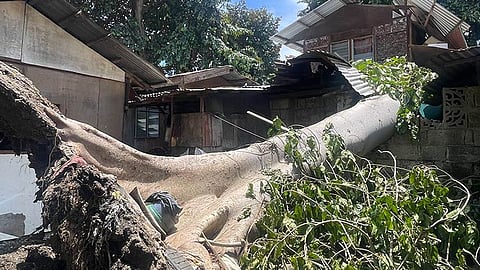 Balay natumbahan sa dakong kahoy 