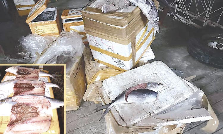 Opisyal nanawagan nga dynamite fishing undangon