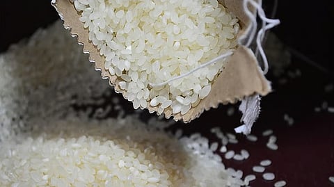 P20 nga bugas ipatuman sa Mindanao karong Hulyo