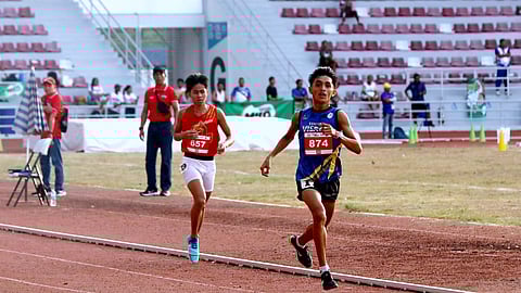 Cañalita bags 2nd gold