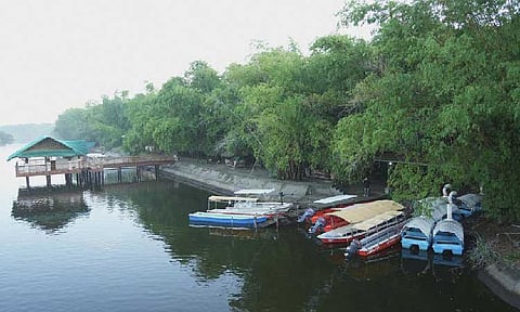 Lubao Bamboo Hub eyed
as best ecotourism site