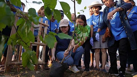 Iloilo City marks World Environment Day with citywide tree planting