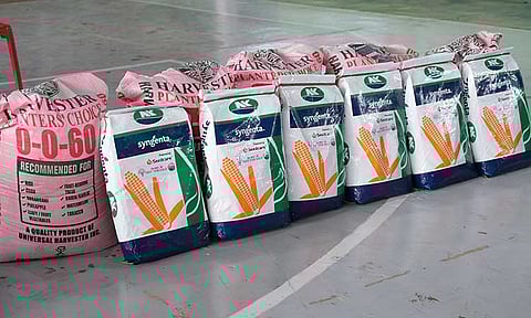 The Department of Agriculture–Davao Region (DA-Davao) distributed approximately P5.9 million worth of agricultural inputs to farmers in Davao del Norte who were affected by the recent Tropical Low-Pressure Area (TLPA) and Shear Line weather disturbances.