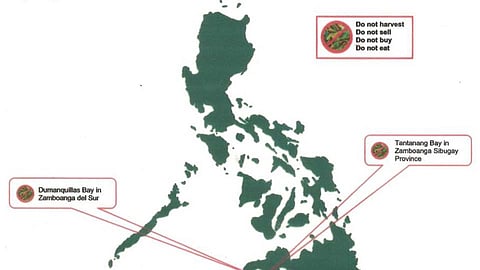 ZAMBOANGA. The Bureau of Fisheries and Aquatic Resources-Zamboanga Peninsula warns the public against collection of shellfishes in Dumanquillas Bay, Zamboanga del Sur and Tantanang Bay, Zamboanga Sibugay as the two areas remain positive for Paralytic Shellfish Poison (PSP) or toxic red tide that is beyond the regulatory limit. (SunStar Zamboanga)