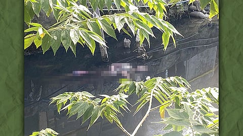 11 anyos nalumos sa taga hawak nga sapa