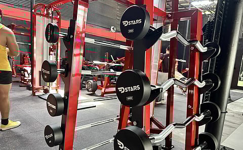 Dstars Ecoland opens