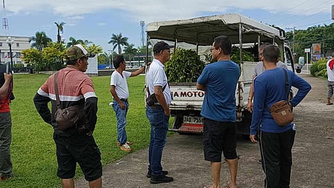 Councilor orders probe into ‘illegal removal’ of plants at BCGC