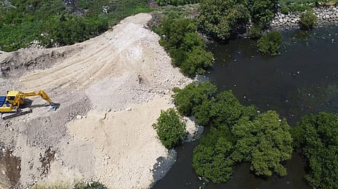 Council slams DPWH 7 for mangrove damage