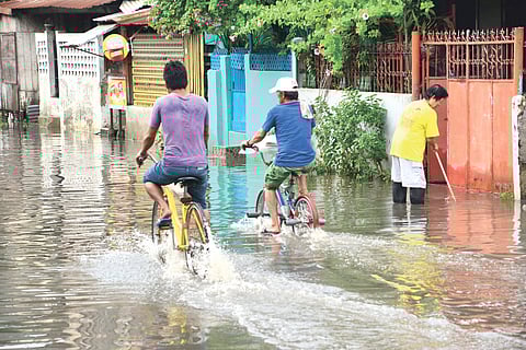 Hidden dangers of puddles: Understanding ‘lepto’ woes