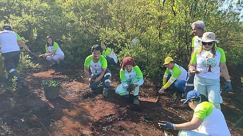 Aboitiz Construction celebrates Environment Month with tree planting