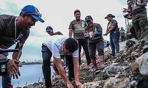 Proyektong '256K Trees' gilusad sa gobiyerno sa Cebu City