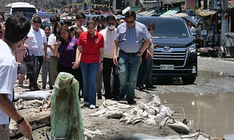 Photo courtesy of Sonny Canlas