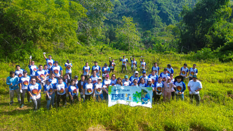CCLEC plants 1k seedlings