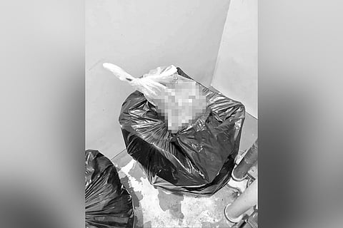 Patay nga puya gisagol sa basura