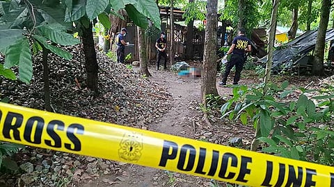 Senior citizen gipatay sa pag-umangkon