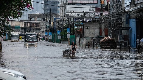 (Photo by Juan Carlo de Vela)