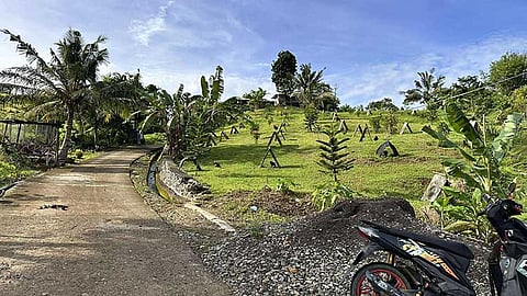 Body found in Cebu game fowl farm; 4 nabbed