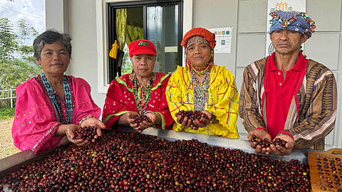 Brewing Life: The Indigenous Coffee Farmers of Barangay Tibolo