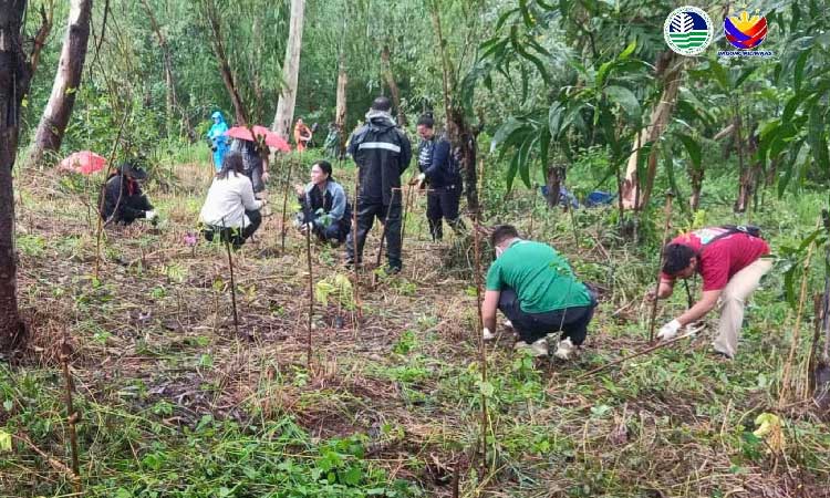 
BATAAN GREENING. The Department of Environment and Natural Resources, together with the Office of the Vice President, Peninsula Electric Cooperative Incorporated, Philippine National Police, Bureau of Fire Protection, and National Electrification Administration, led the planting of 4,500 seedlings in Limay and Pilar towns in Bataan. (Photo courtesy of DENR)
