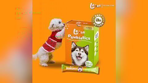 Gen Z pet owners rave about Loras Pawbiotics, the trusted secret to boosting your dog’s gut health