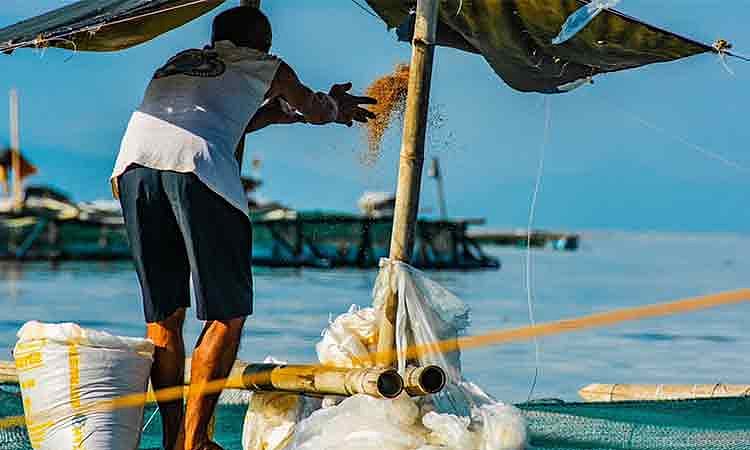 Cagro-Davao City urges fisherfolk to practice caution amid rough weather