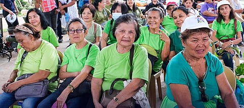 Seniors paaplayon na'g trabaho