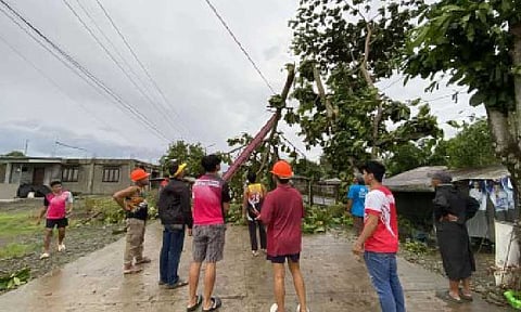 DAMAGE CLEARING. Municipal Disaster Risk Reduction and Management Office and Philippine Coast Guard personnel conduct clearing operations in Baggao, Cagayan on Sept. 22, 2025, to remove trees toppled by Super Typhoon Nando. The National Disaster Risk Reduction and Management Council said on Wednesday (Sept. 24) that the recent tropical cyclones Mirasol and Nando and the southwest monsoon have so far affected a total of 159,197 families. (Photo courtesy of Cagayan PIO)