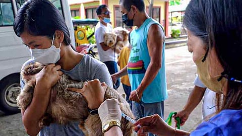 FDA warns public vs counterfeit anti-rabies vax