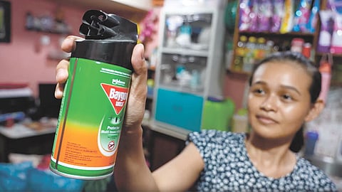 Building daily defenses against dengue