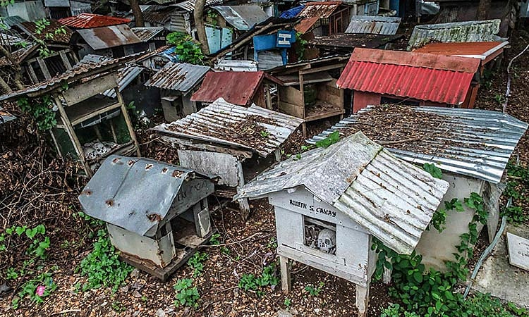 The Price of Peace: How Poverty Dictates Even Death in Cebu