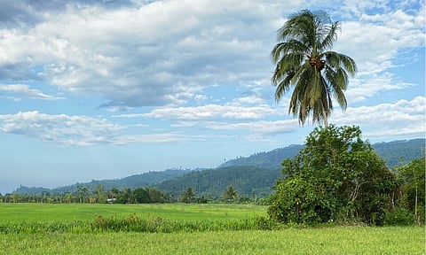 Mindanao farmers to get boost with climate adaption grant
