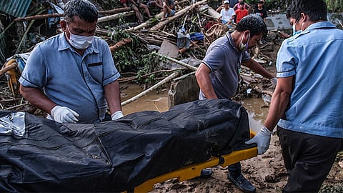 Death toll hits 142