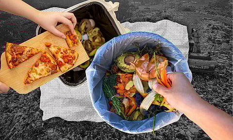 Understanding biodegradable waste
(2nd of 3-part series)