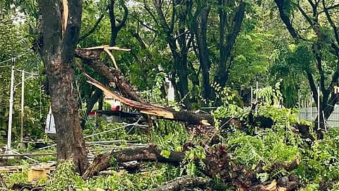 Consumer group urges stakeholders to stop blame game