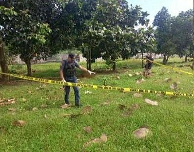 NEGROS. A game fowl breeder was shot to death by three unidentified assailants in his game farm in Purok Malipayon, Barangay Marcelo, Calatrava, Negros Occidental, on Tuesday, November 11, 2025. 