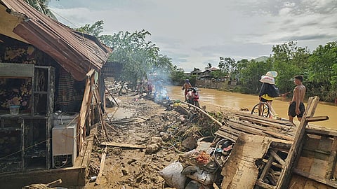 'Tino' destroys nearly P47M in crops, livestock in Cebu City