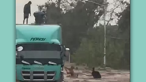 Miluwas sa mga naanod sa baha gitaktak sa trabaho