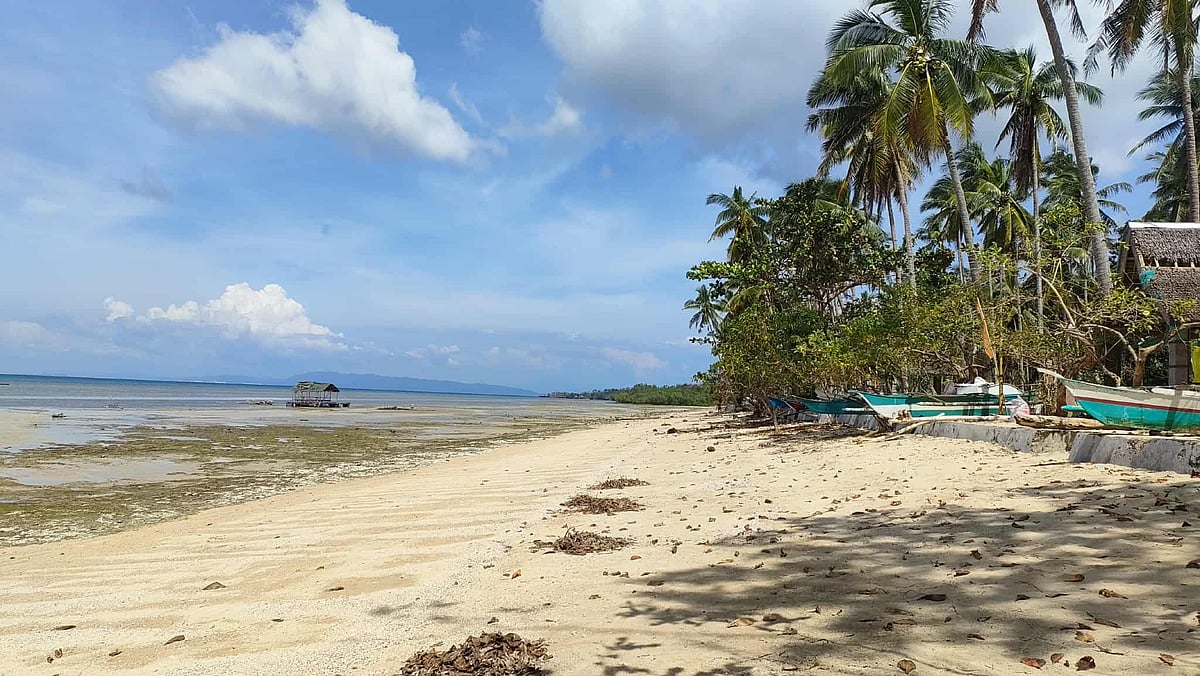 Mactang Beach Camotes: Free Historic Shore With Magellan Link