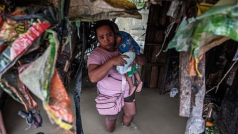 South gibaha ni Verbena