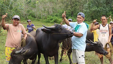 DA releases P2.4M livelihood project in Sibugay town