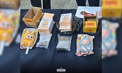 HIGH-GRADE SUBSTANCE. The 538 grams of high-grade marijuana or “kush” recently intercepted by the Bureau of Customs through the Port of Clark. Customs Commissioner Ariel Nepomuceno said Wednesday (Nov. 26, 2026) the illegal drugs have an estimated value of PHP807,000. (Photo from BOC)