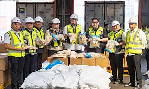 'Syndicate-style’ agri smuggling a security threat - senators